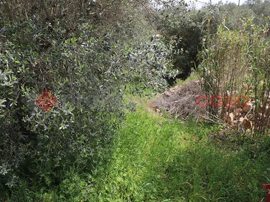 Immagine 35 di Baita in vendita  in Contrada San Salvatore, snc a Ostuni