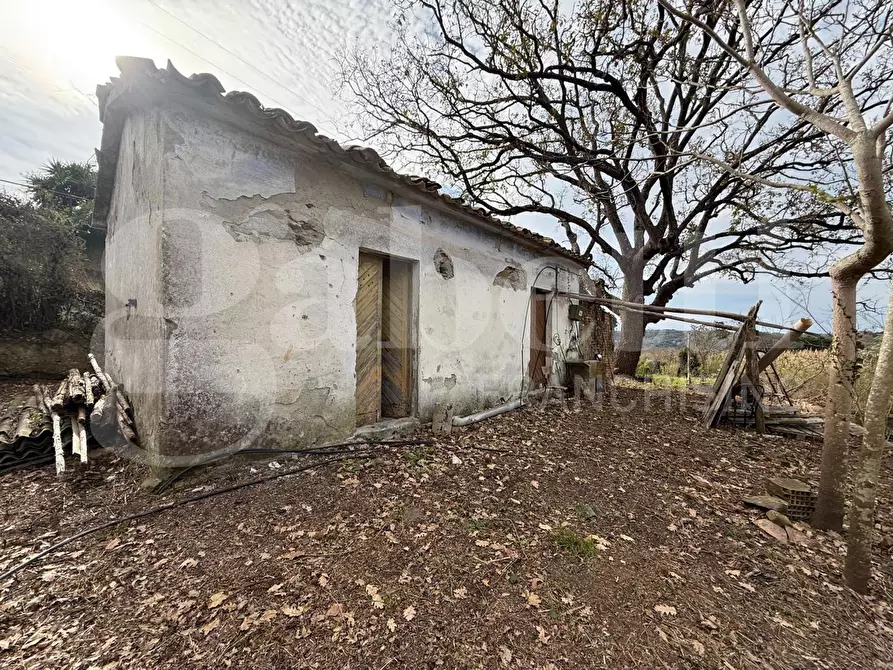 Immagine 5 di Terreno agricolo in vendita  in Contrada CARLO FAZZO, snc a Pianopoli