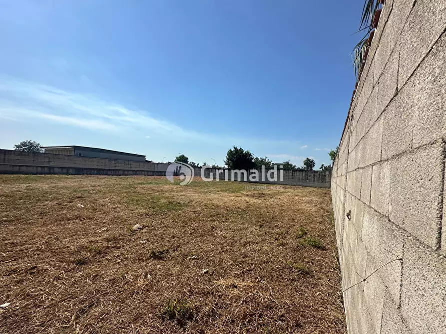 Immagine 10 di Terreno agricolo in affitto  in Via Fatigati, 117 a Acerra