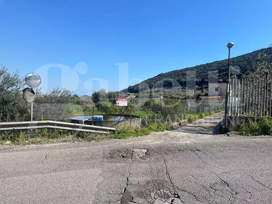 Immagine 4 di Terreno agricolo in vendita  in Via dell'agricoltura, s.n.c. a Gaeta