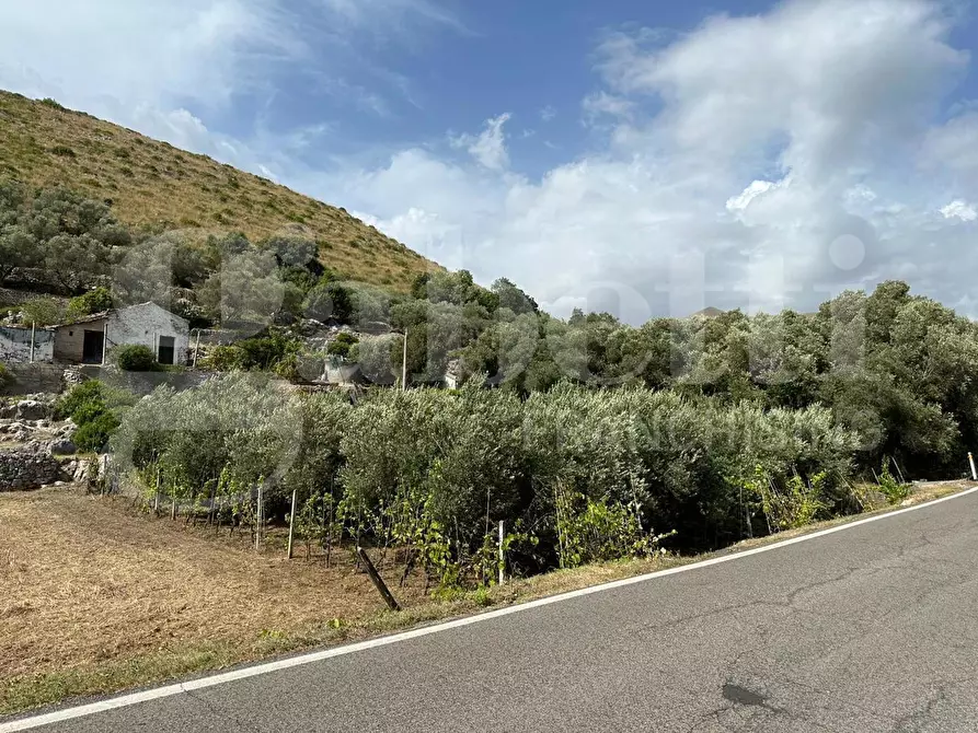 Immagine 20 di Terreno agricolo in vendita  in Via Sant'Agostino, snc a Gaeta