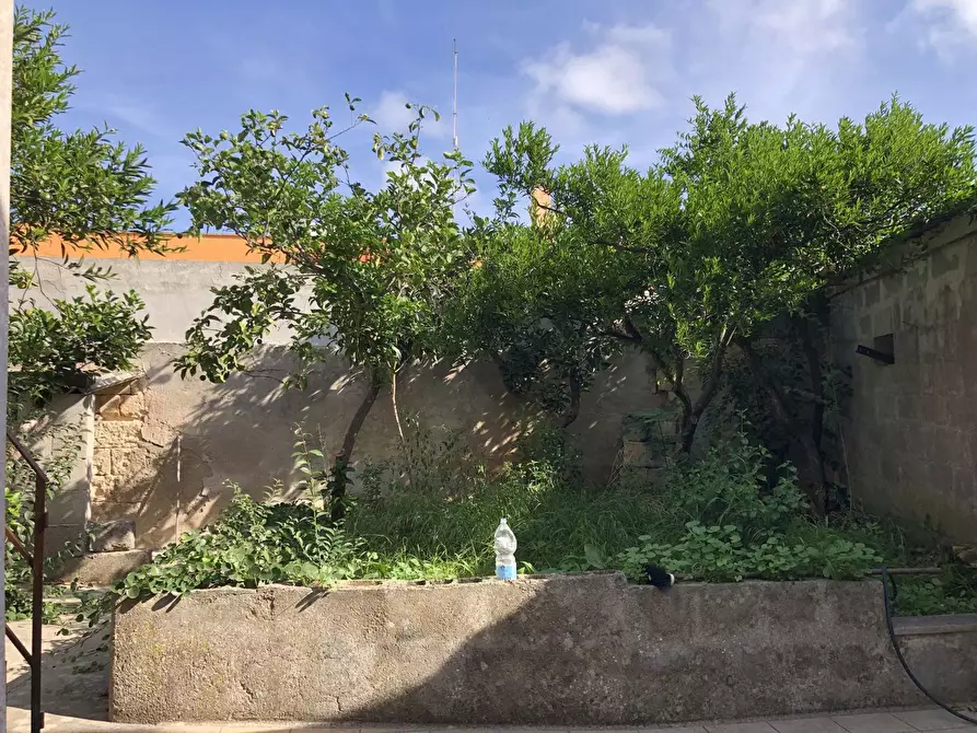 Immagine 23 di Casa indipendente in vendita  in Via Roma a Cannole