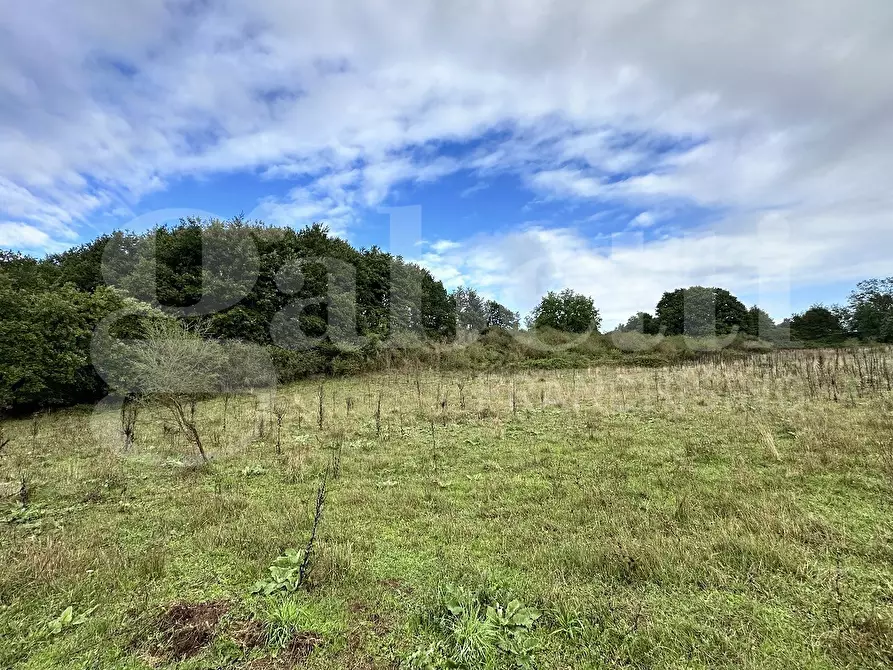 Immagine 7 di Terreno agricolo in vendita  in Via BRACCIANESE, SNC a Oriolo Romano