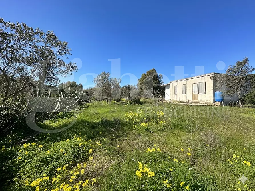 Immagine 1 di Terreno agricolo in vendita  in LocalitÃ  Fra Giuanni, snc a Capoterra