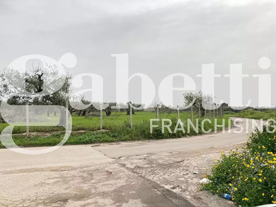 Immagine 6 di Terreno residenziale in vendita  in Strada vicinale guadone, snc a San Severo