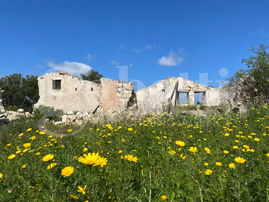 Immagine 8 di Terreno agricolo in vendita  in Strada provinciale, 56 a Noto