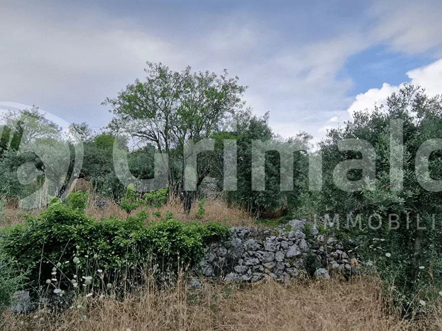 Immagine 3 di Terreno residenziale in vendita  in Contrada Manzo, SNC a Sortino