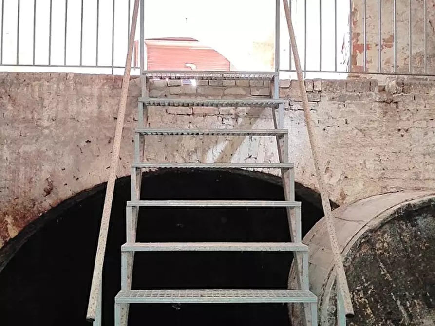 Immagine 10 di Box auto in vendita  in Via MINUZIANO a San Severo