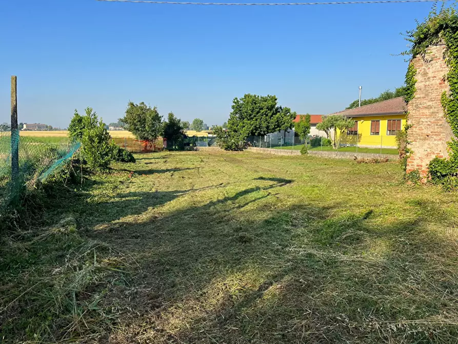 Immagine 4 di Rustico / casale in vendita  in Via CAVARZERE LocalitÃ  Pareole, 43 a Cavarzere