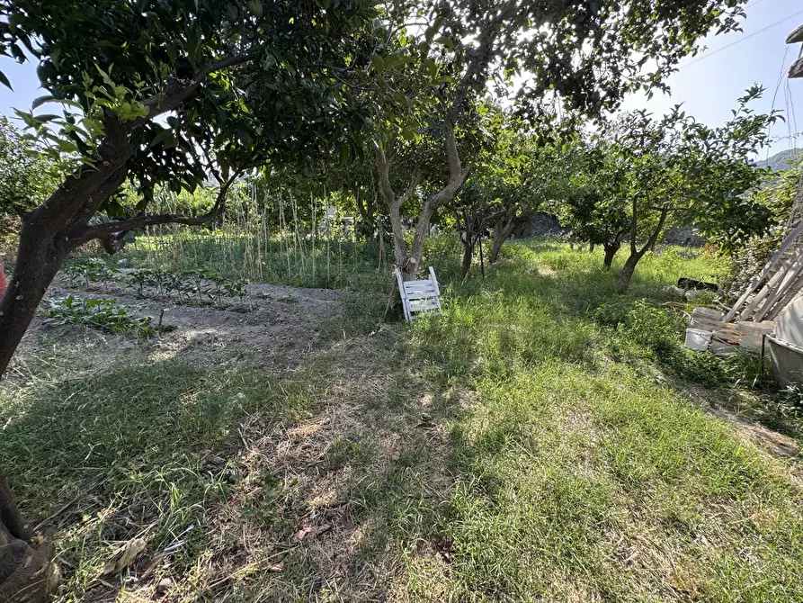 Immagine 18 di Terreno agricolo in vendita  in Strada comunale, snc a Rometta