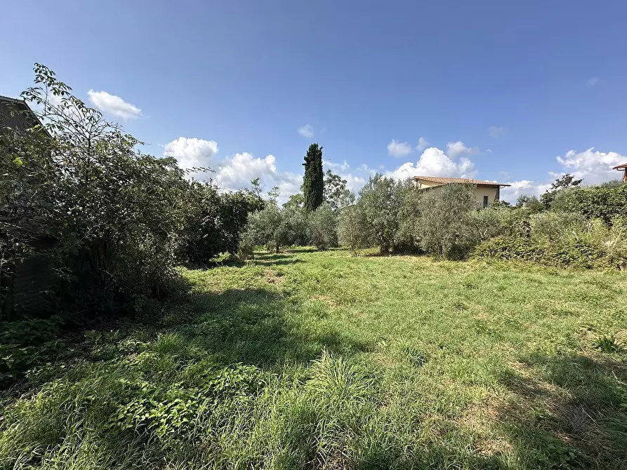 Immagine 4 di Terreno residenziale in vendita  in Via CASE NUOVE, 00 a Canale Monterano