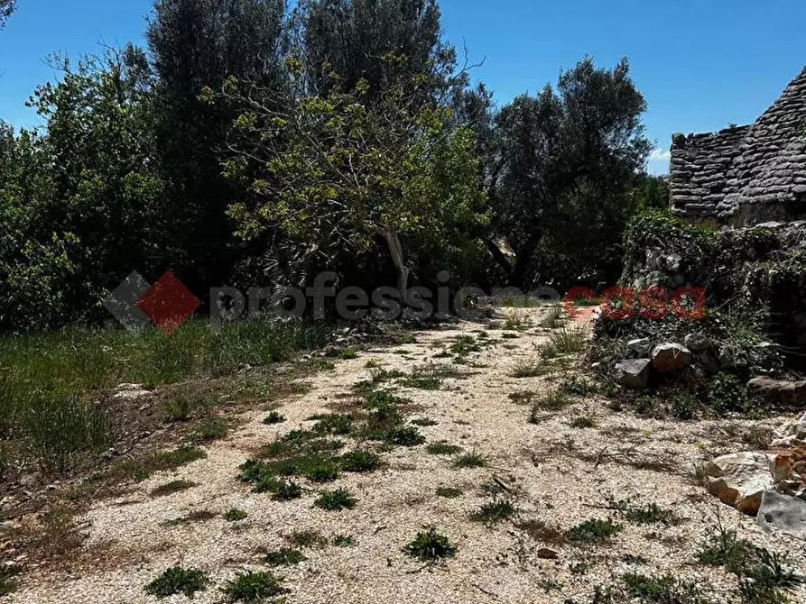Immagine 7 di Baita in vendita  in Contrada BARONE PICCOLO, SNC a Ceglie Messapico