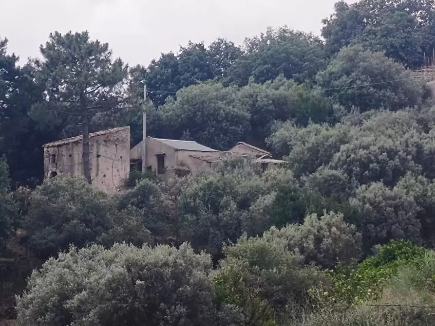 Immagine 12 di Terreno agricolo in vendita  in Via Zafferia, contrada cardÃ , snc a Messina