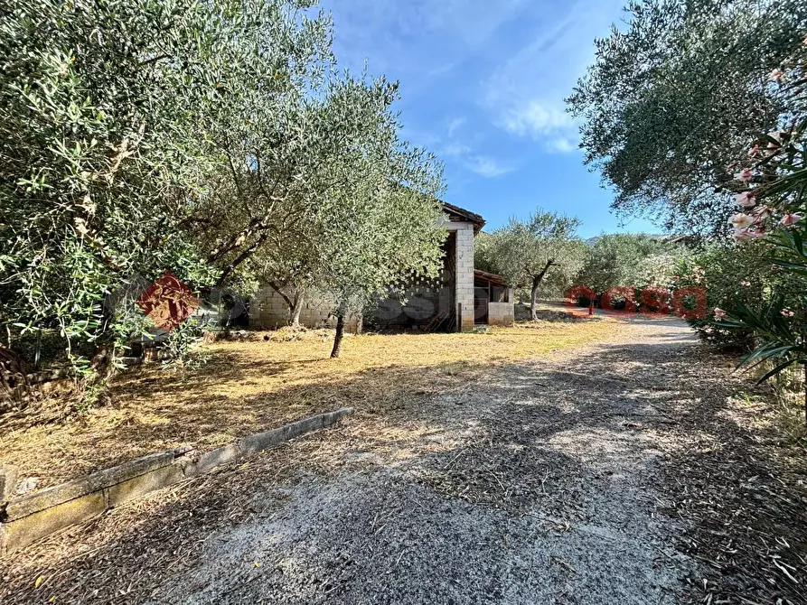 Immagine 5 di Casa indipendente in vendita  in Via Valle Vona, snc a Anagni
