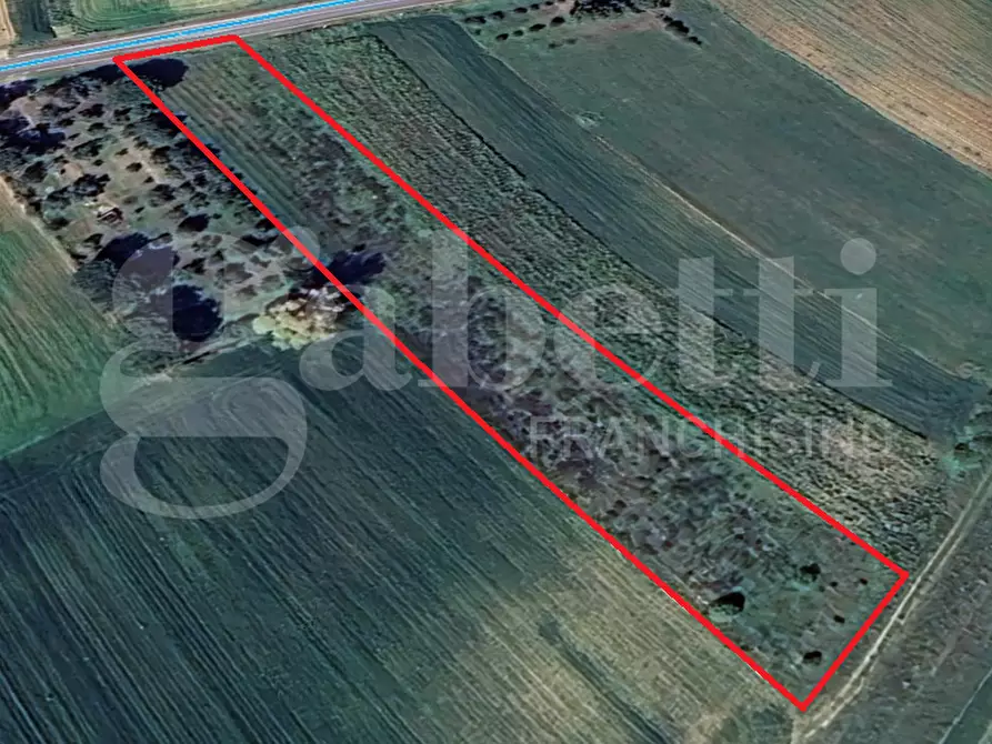 Immagine 9 di Terreno agricolo in vendita  in Strada provinciale 9, snc a Sestu