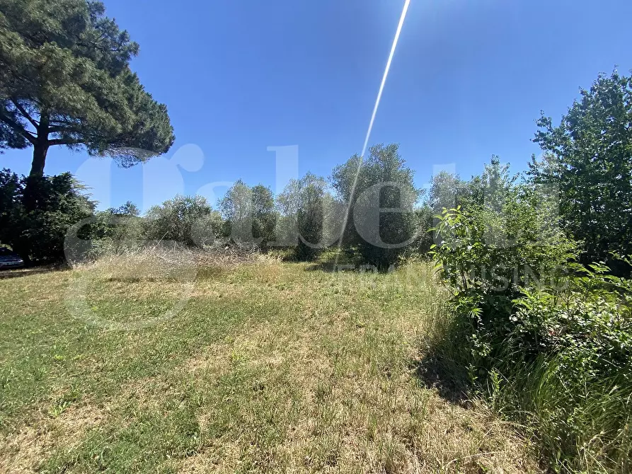 Immagine 3 di Rustico / casale in vendita  in Via DEL CONDOTTINO, 00 a Manziana