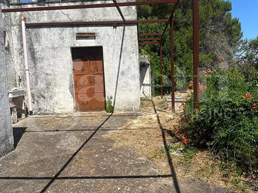 Immagine 4 di Villa in vendita  in Contrada Lamardilla, sn a Ostuni