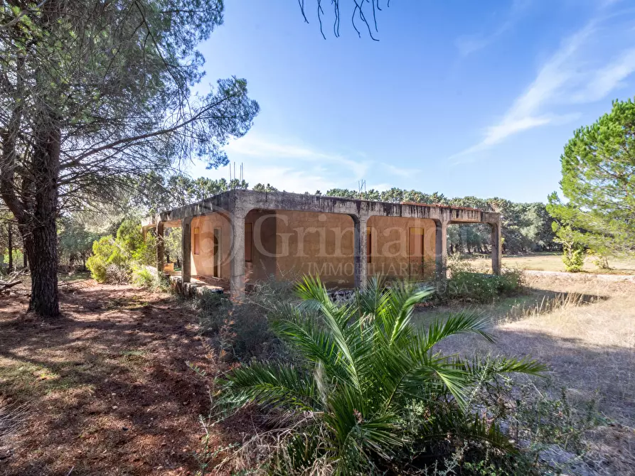 Immagine 2 di Terreno agricolo in vendita  in Via Cava Grande, 1 a Avola