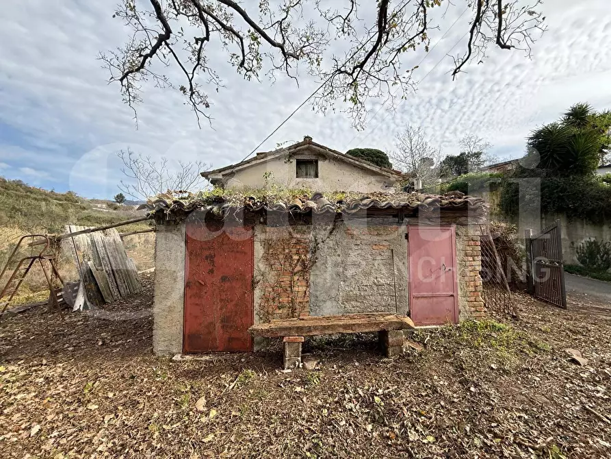 Immagine 2 di Terreno agricolo in vendita  in Contrada CARLO FAZZO, snc a Pianopoli