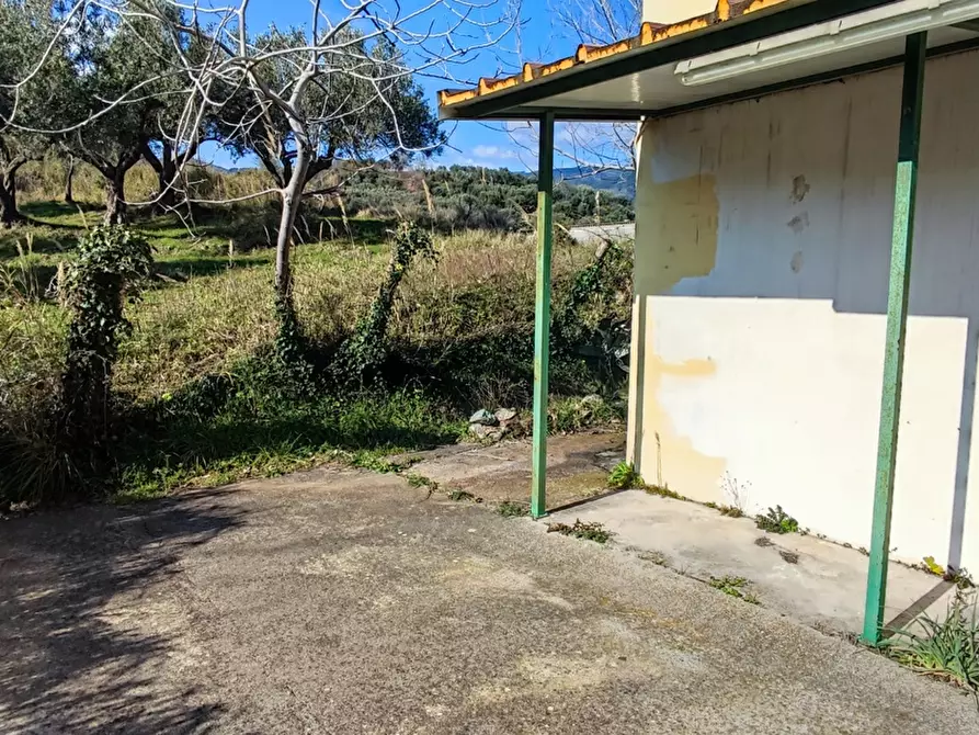Immagine 6 di Villa in vendita  in LocalitÃ  MORTILLA, SNC a Magisano