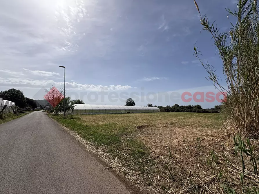 Immagine 14 di Terreno agricolo in vendita  in Via PONTE DI FERRO, 74 a Terracina