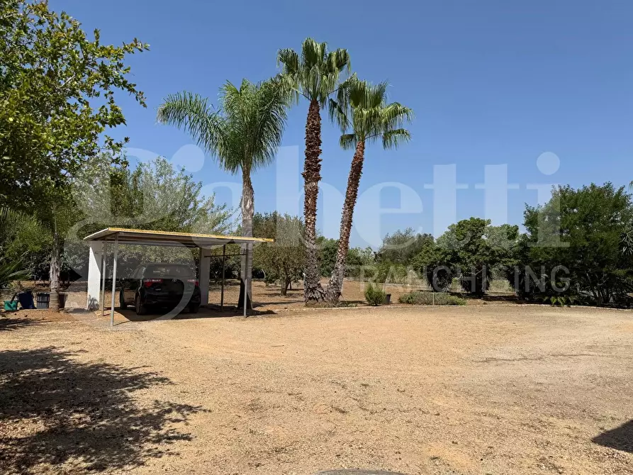 Immagine 19 di Casa indipendente in vendita  in Via Vicinale Gemma, snc a Galatone