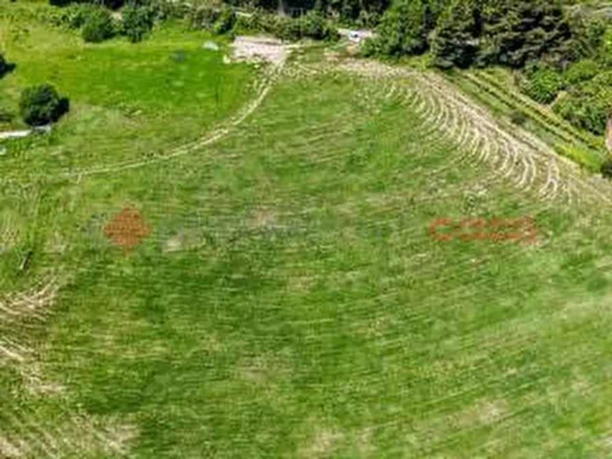 Immagine 3 di Terreno residenziale in vendita  in LocalitÃ  Paduni, snc a Anagni
