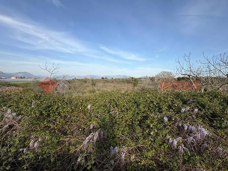 Immagine 6 di Terreno agricolo in vendita  in Via CHIANCHIARELLE, 14 a Fondi