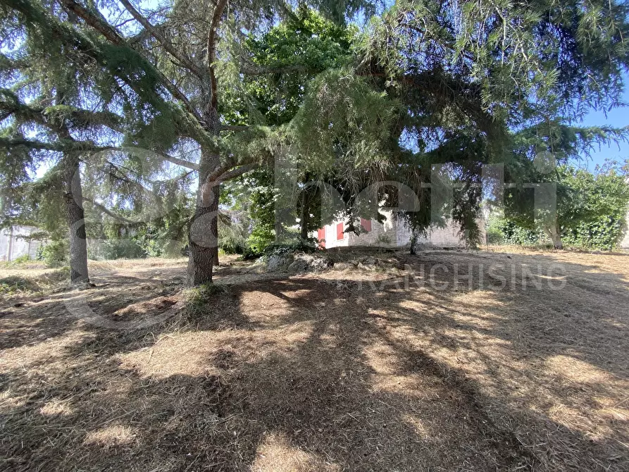 Immagine 25 di Villa in vendita  in Via S.P. 18, 76 a Cassano Delle Murge