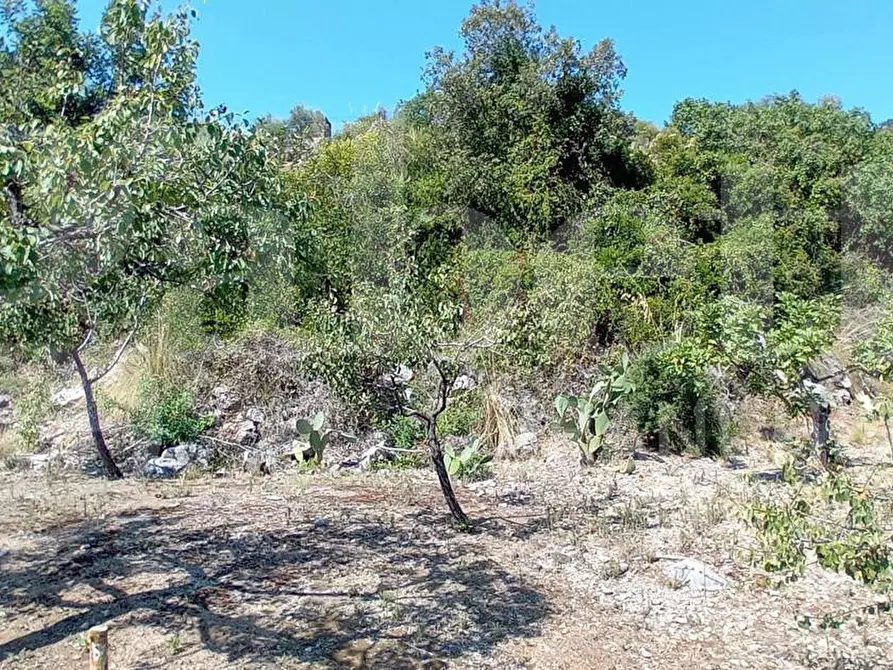 Immagine 12 di Rustico / casale in vendita  in Via Sant'Agostino, s.n.c. a Gaeta