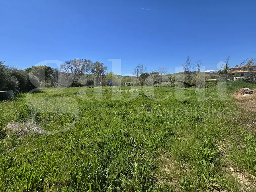Immagine 4 di Terreno residenziale in vendita  in Via salino, 83 a Tortoreto