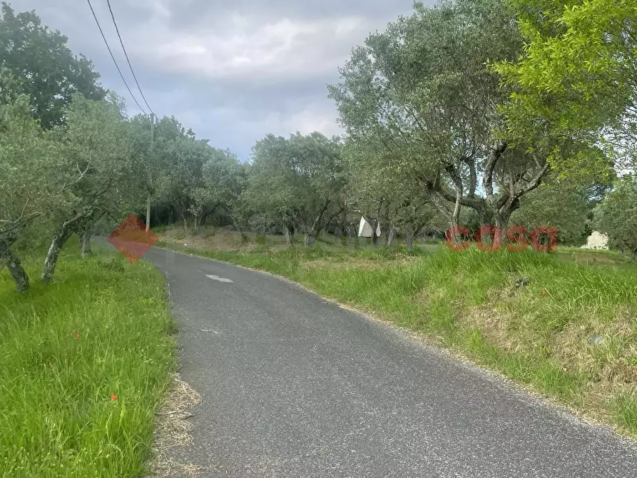 Immagine 8 di Casa indipendente in vendita  in Via paterno, snc a Anagni