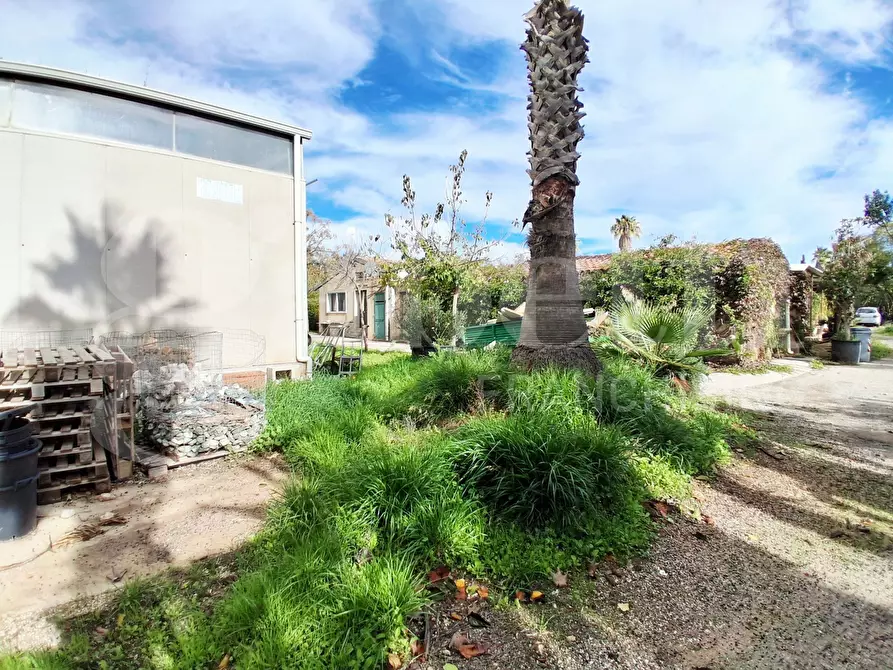 Immagine 12 di Terreno agricolo in vendita  in Contrada gaddimeli, snc a Ragusa