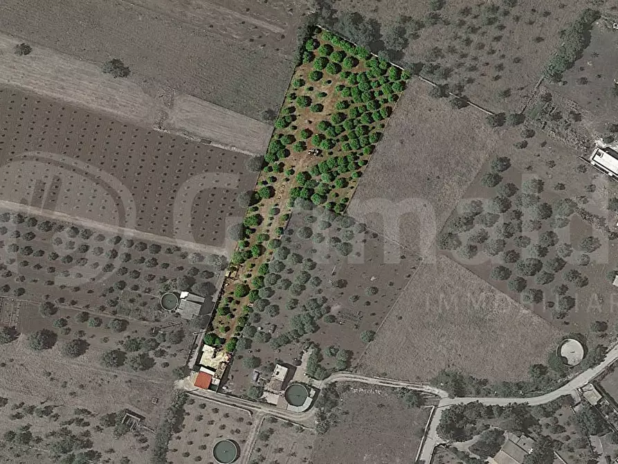 Immagine 7 di Terreno residenziale in vendita  in Via dulcamara, 45 a Noto