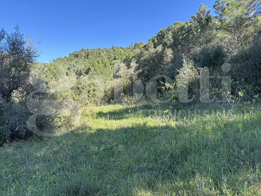Immagine 13 di Rustico / casale in vendita  in Contrada Petraro, snc a Chiaramonte Gulfi