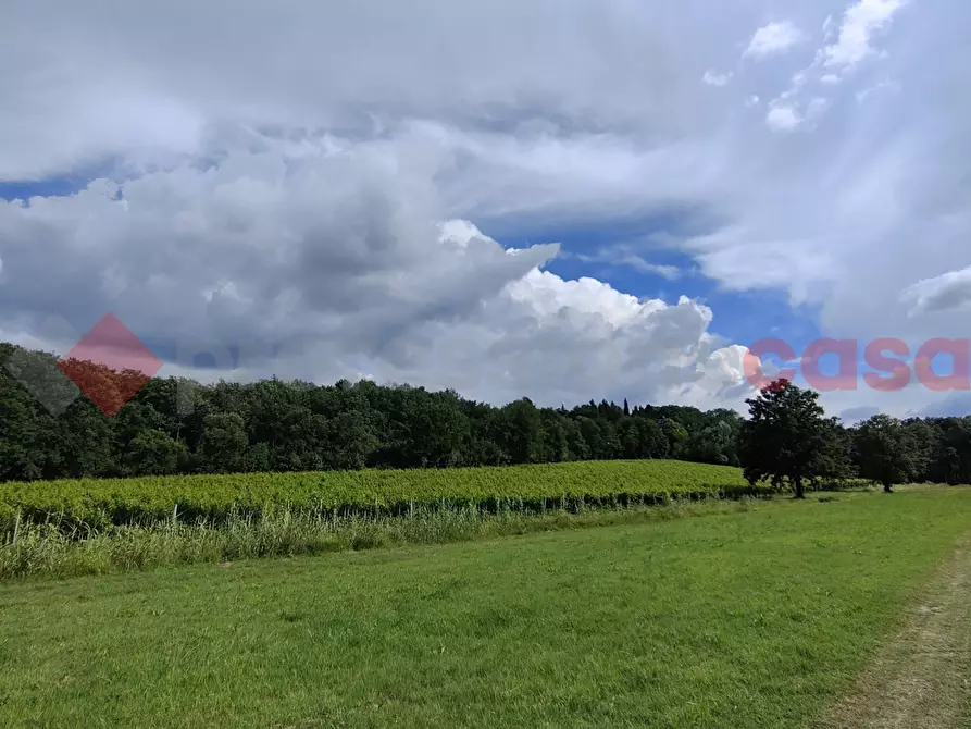 Immagine 6 di Terreno agricolo in vendita  in Via di castagneto a Empoli
