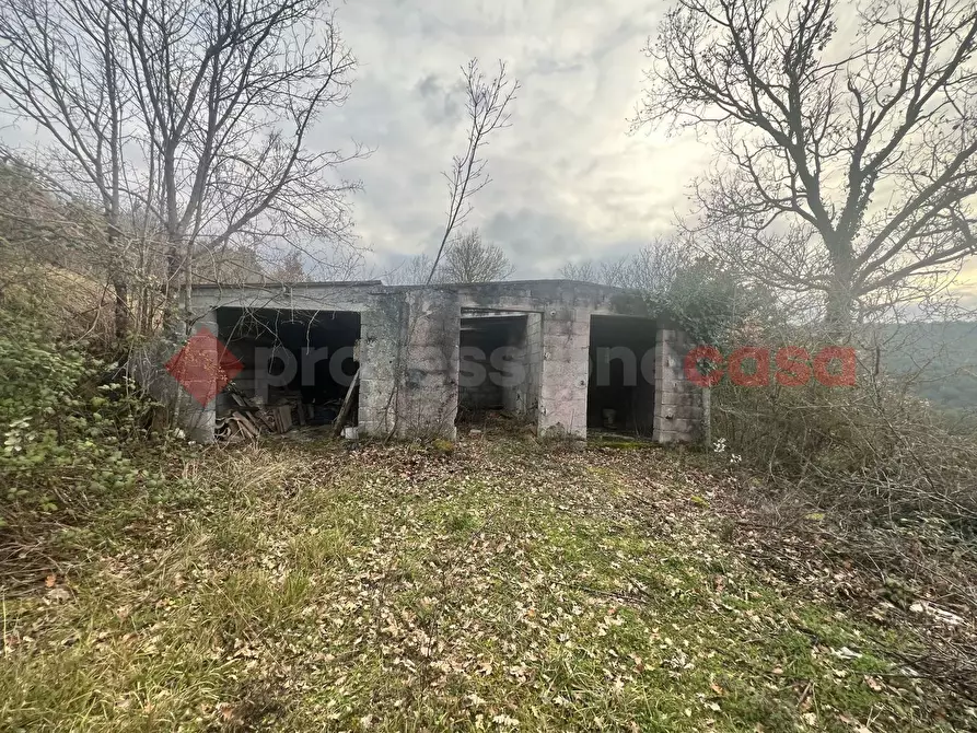 Immagine 5 di Terreno agricolo in vendita  in LocalitÃ  Rubbiano a Spoleto