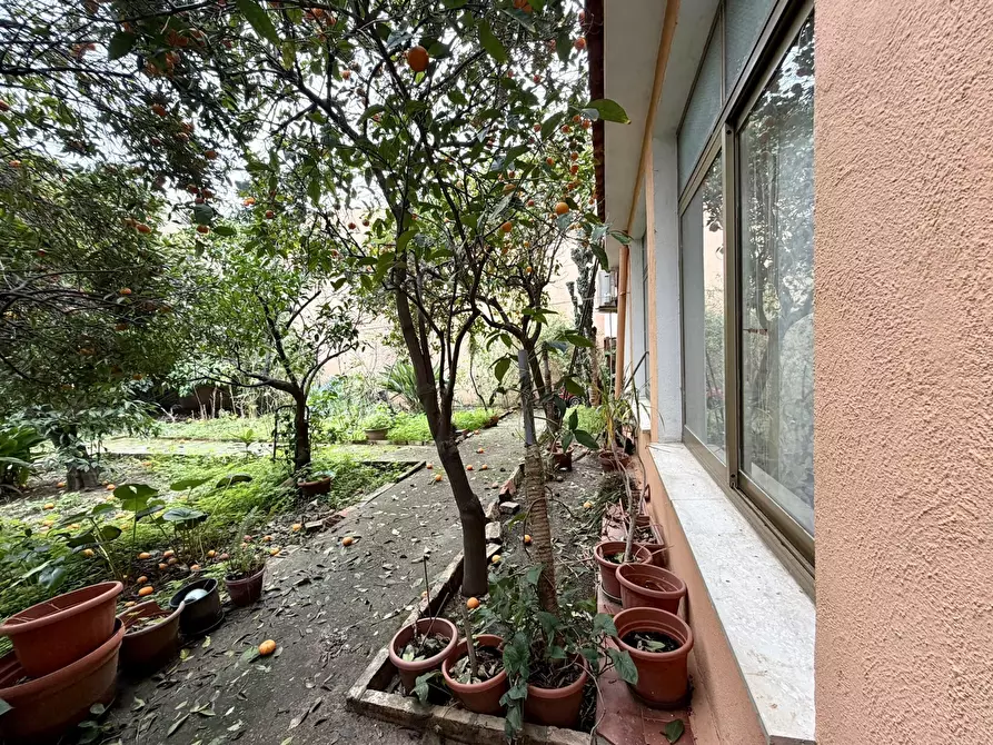 Immagine 14 di Casa indipendente in vendita  in Via UMBERTO, SNC a Maracalagonis