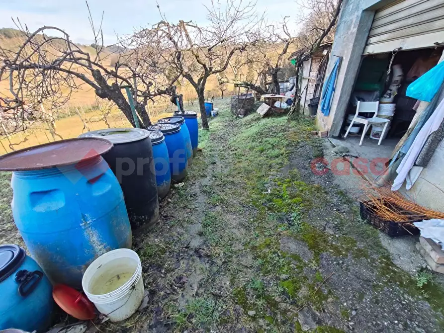 Immagine 6 di Terreno agricolo in vendita  in Via vallone a Castelfiorentino