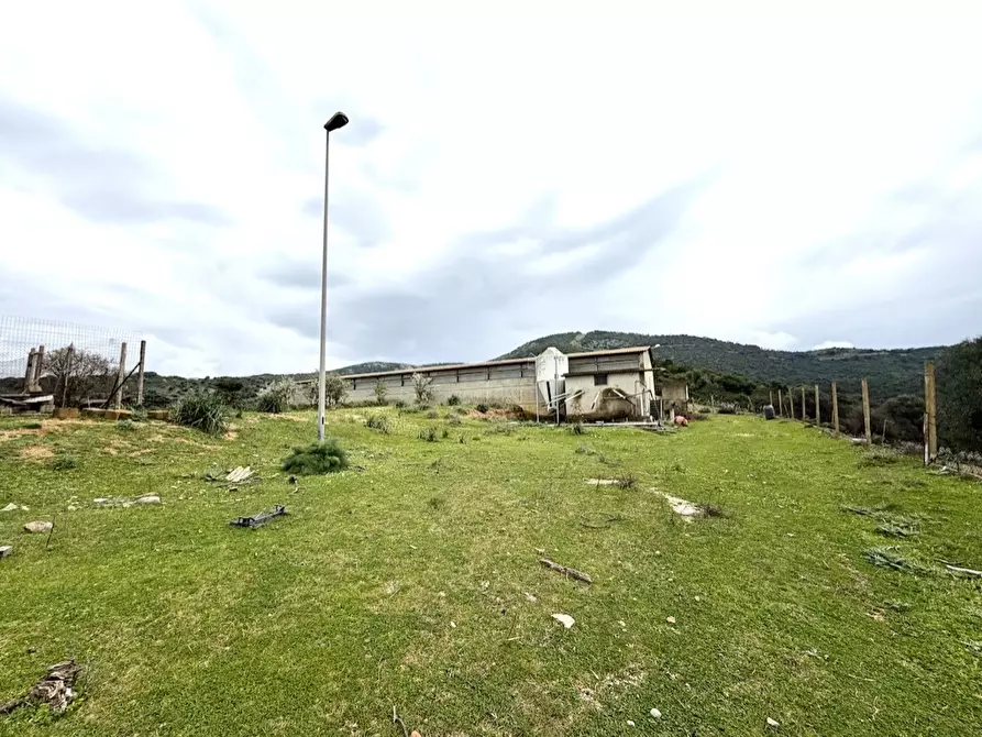 Immagine 11 di Capannone industriale in vendita  in Strada COMUNALE DE ORBAI, SNC a Dolianova