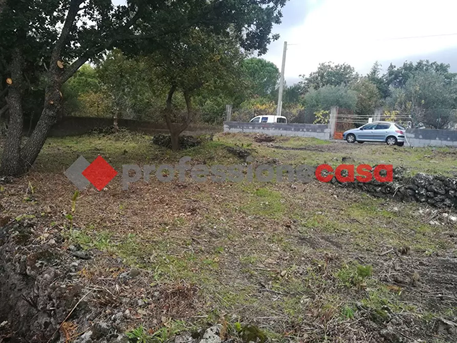 Immagine 6 di Terreno agricolo in vendita  in Contrada Scorsone, SNC a Belpasso