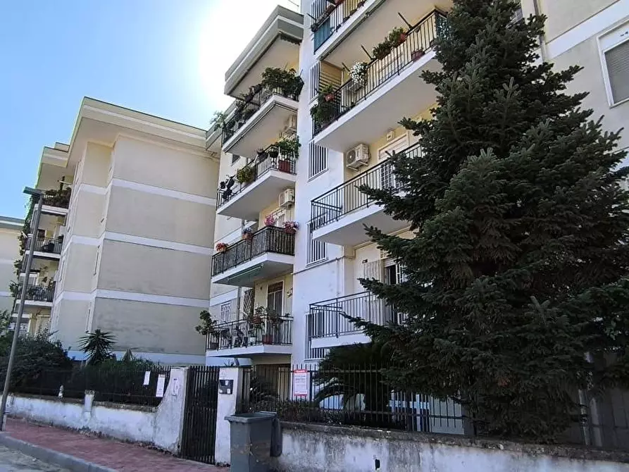 Immagine 14 di Appartamento in vendita  in Via Trieste a San Nicola La Strada