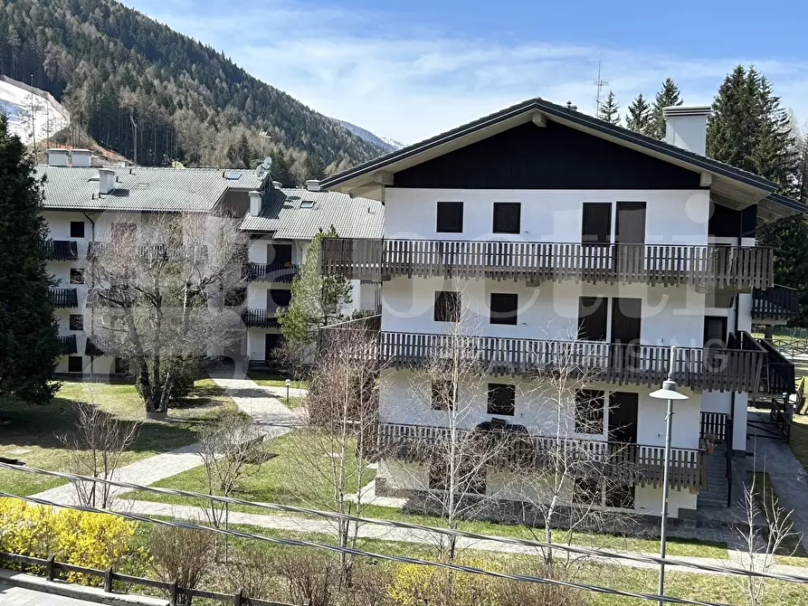 Immagine 5 di Appartamento in vendita  in Via Corno D'Aola, 5 a Ponte Di Legno