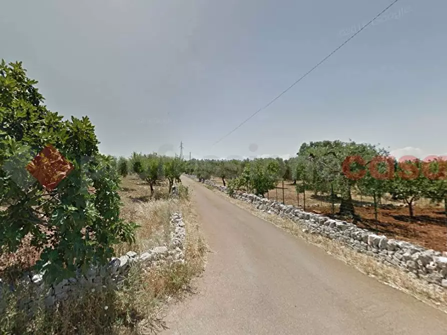 Immagine 1 di Terreno agricolo in vendita  in Contrada TORMENTO a Monopoli