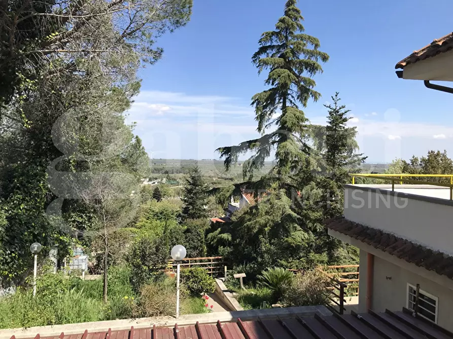 Immagine 23 di Villa in vendita  in Via Parco la Vecchia, nc a Cassano Delle Murge
