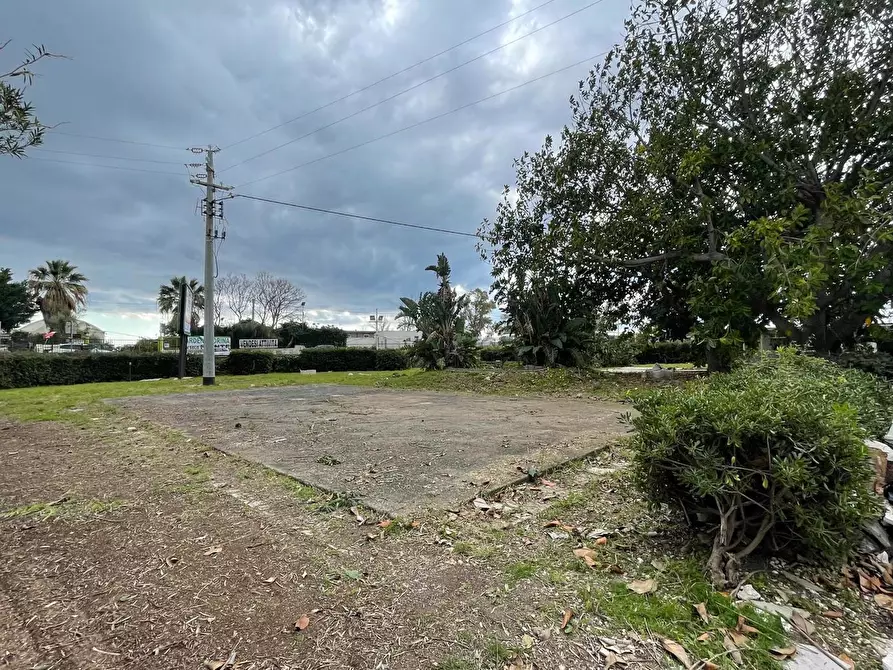 Immagine 7 di Terreno agricolo in vendita  in Via elorina, snc a Siracusa