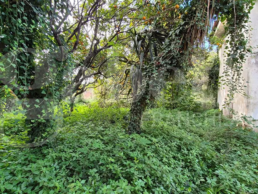 Immagine 6 di Palazzo in vendita  in Via L. Giordano, 38 a Boscotrecase