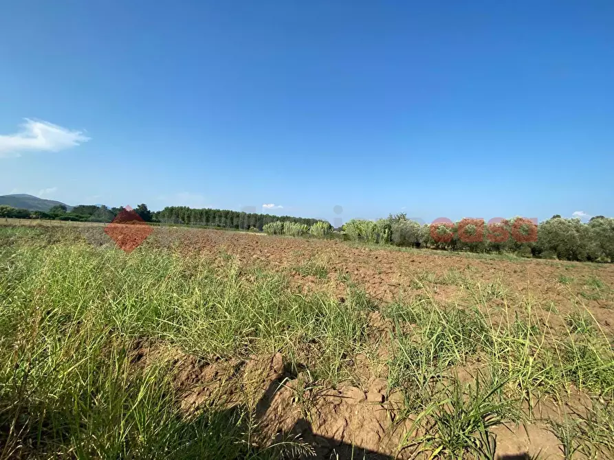 Immagine 28 di Terreno agricolo in vendita  in LocalitÃ  Starzella, SNC a Falciano Del Massico