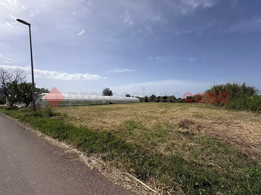 Immagine 6 di Terreno agricolo in vendita  in Via PONTE DI FERRO, 74 a Terracina