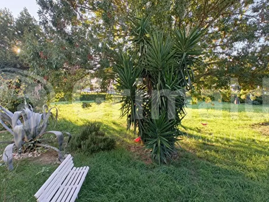 Immagine 24 di Appartamento in vendita  in Via provinciale pisana a Livorno